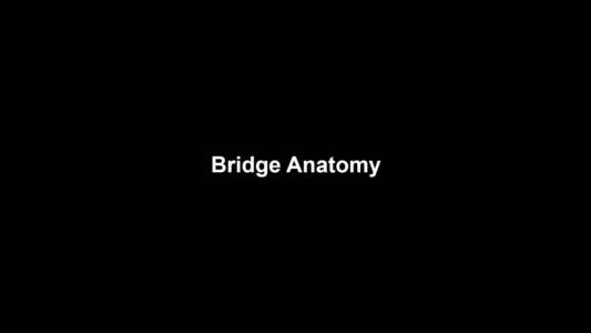 01a Bridge Anatomy