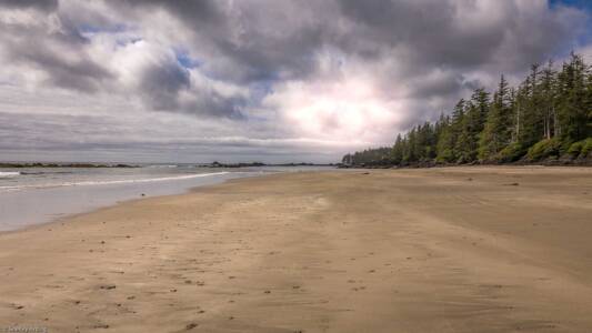 Raft Cove late afternoon