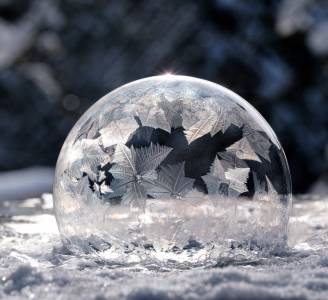 0212TCPC-Elizabeth Gray-Natures Snow Globe