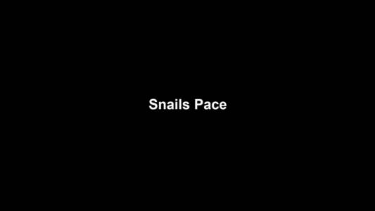 03a Snails Pace