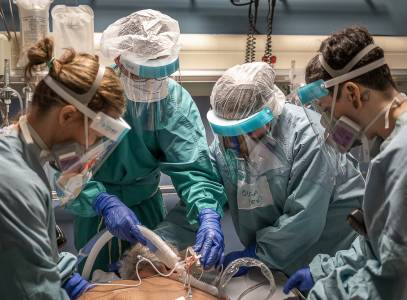 0512TCPC-Anita Niven-Pandemic