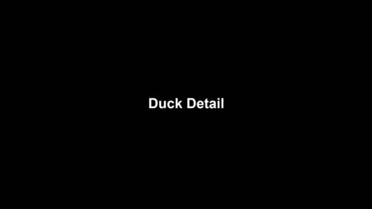 05a Duck Detail