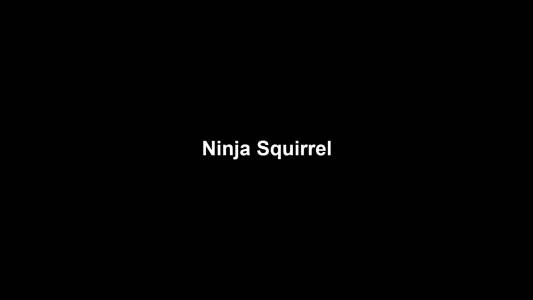 05a Ninja Squirrel