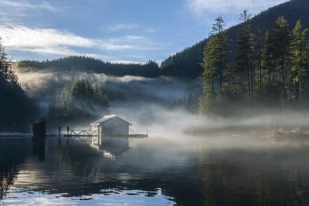 0602TCPC-Judy Robb-Hazy Shades Of Winter