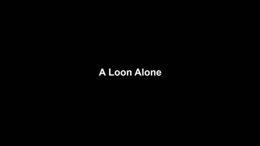 11a A Loon Alone
