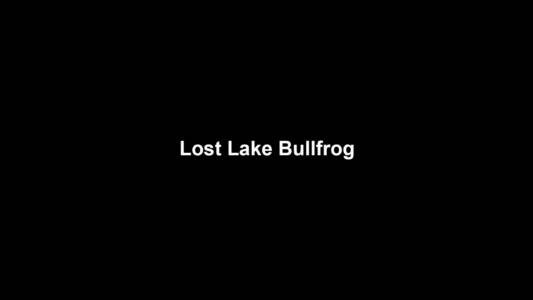 16a Lost Lake Bullfrog
