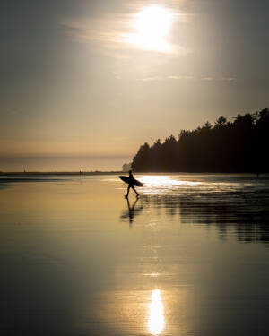 17b Tofino Surfer At Sunset