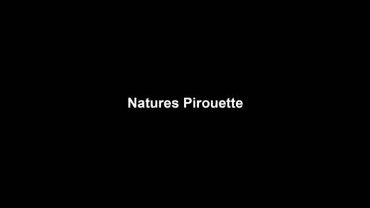 23a Natures Pirouette