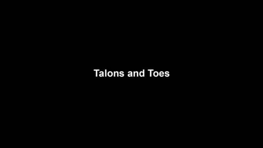 28a Talons And Toes