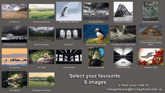 99 - All Images Slide