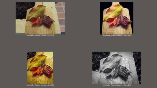 Antoinette - Autumn Leaves - ZZZ Results