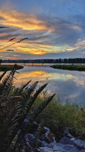 Kristina Brisbin - Reflecting Tranquility