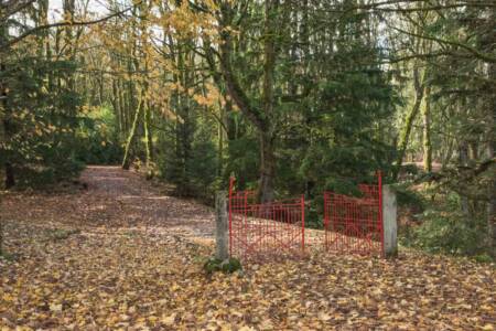 Michelle Clayton 1.jpg