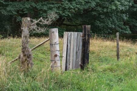 Michelle Clayton 5.jpg