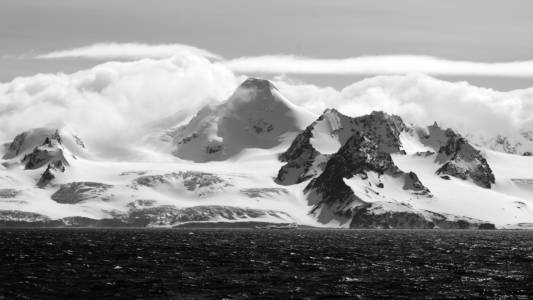 Mona D\'Amours Antarctica