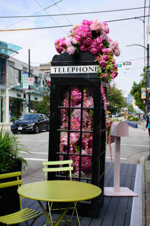 Telephone Box - Michelle Photo - AAA Orig