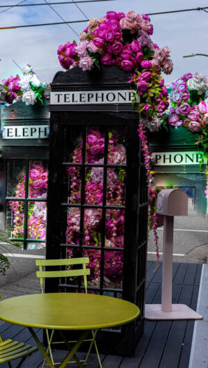 Telephone Box - Michelle Photo - Karen Edit