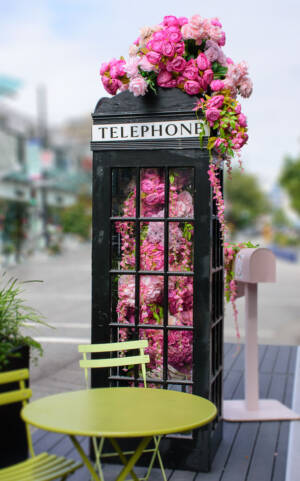 Telephone Box - Michelle Photo - Steve Edit