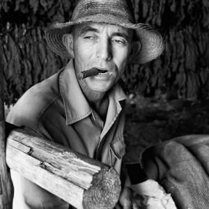 The Tobacco Farmer - Louis Smit